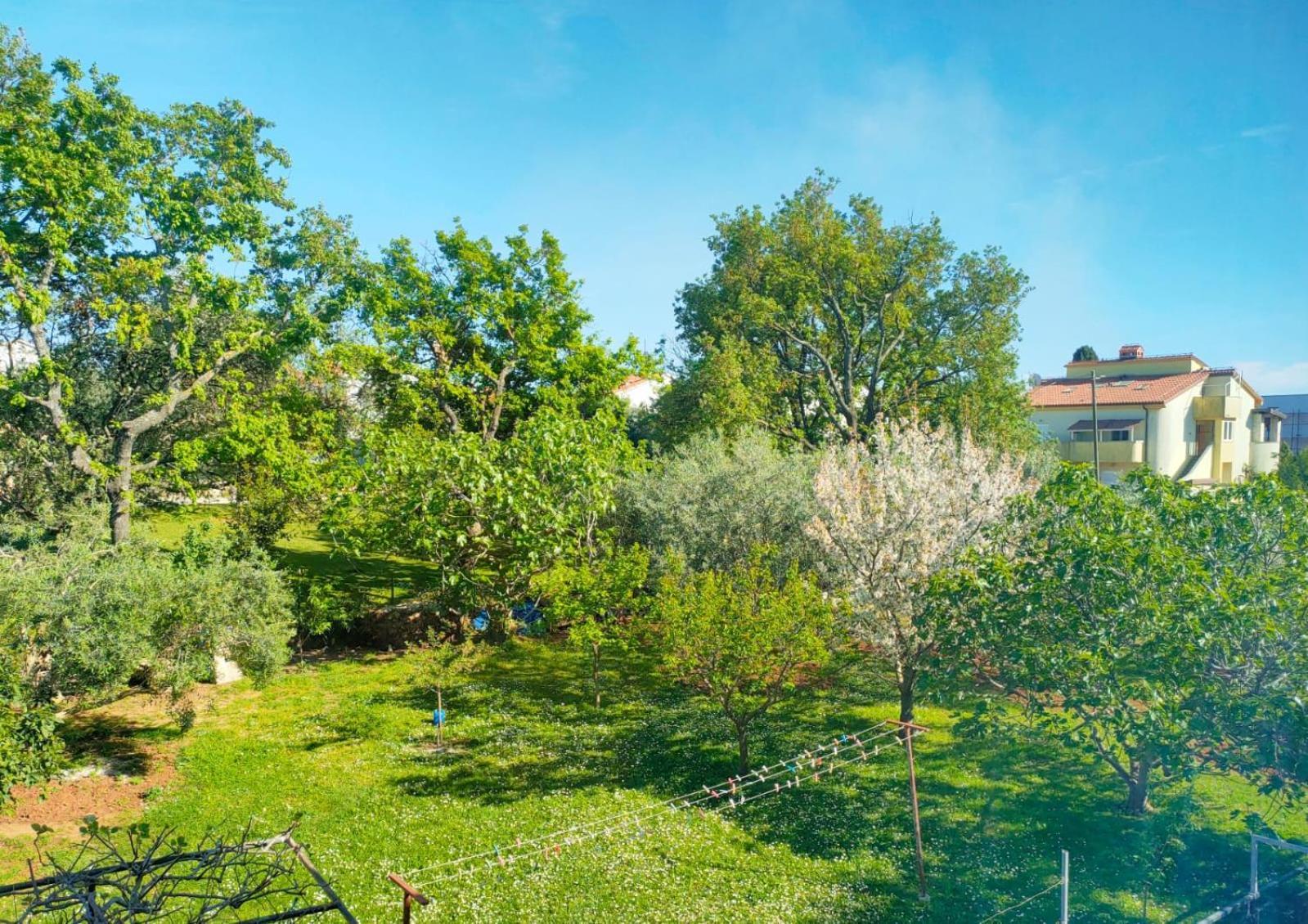 Skajla Apartments Медулин Экстерьер фото